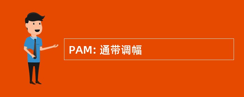 PAM: 通带调幅