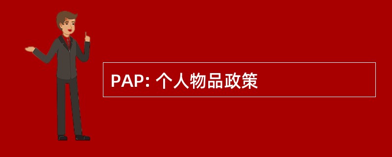 PAP: 个人物品政策