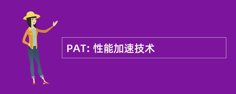 PAT: 性能加速技术