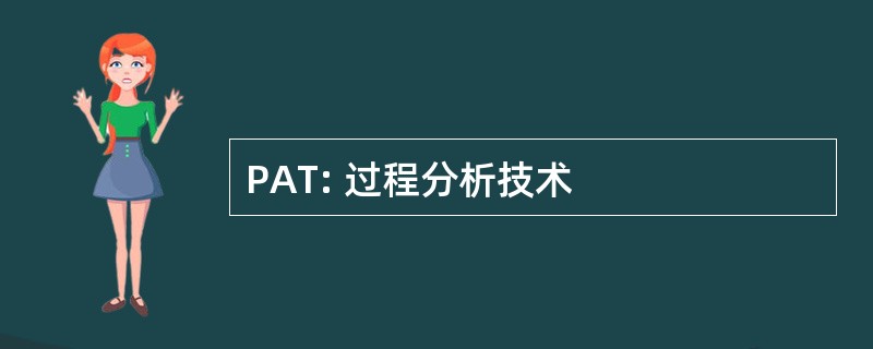 PAT: 过程分析技术