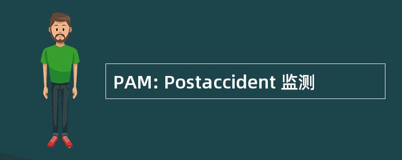 PAM: Postaccident 监测