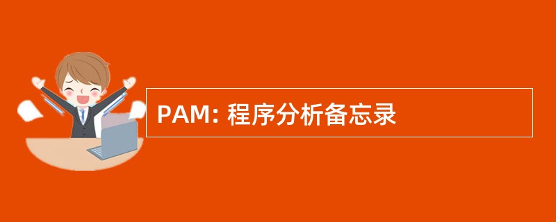 PAM: 程序分析备忘录