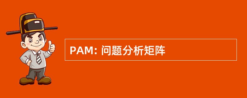 PAM: 问题分析矩阵