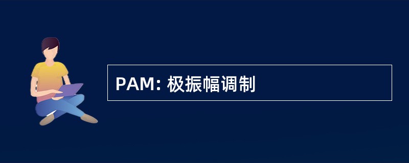 PAM: 极振幅调制