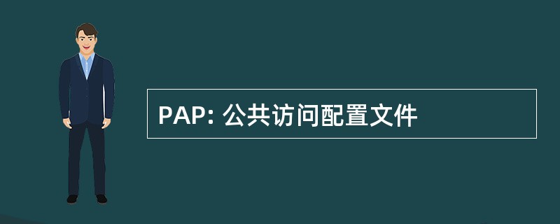 PAP: 公共访问配置文件