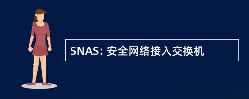 SNAS: 安全网络接入交换机