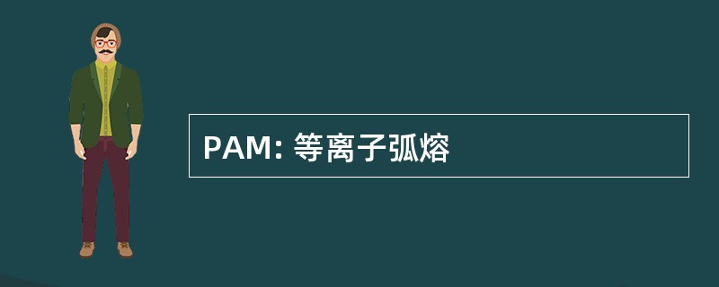 PAM: 等离子弧熔