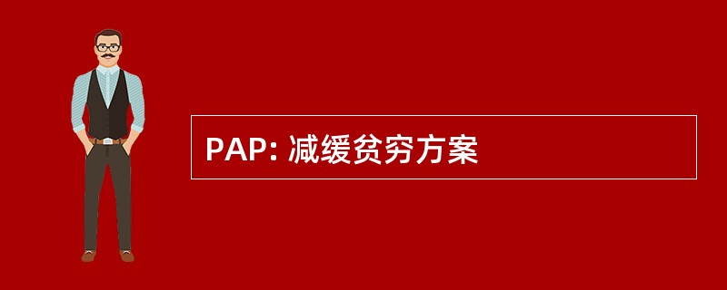 PAP: 减缓贫穷方案