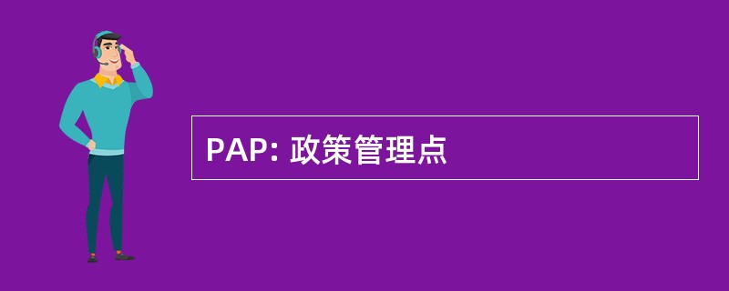 PAP: 政策管理点