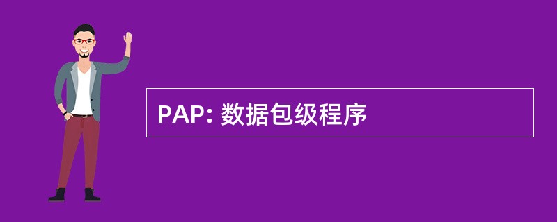 PAP: 数据包级程序