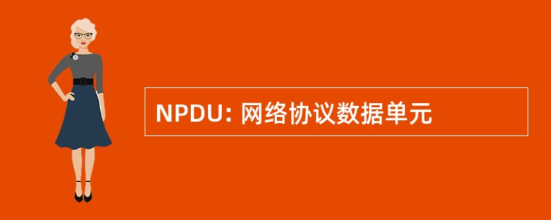 NPDU: 网络协议数据单元