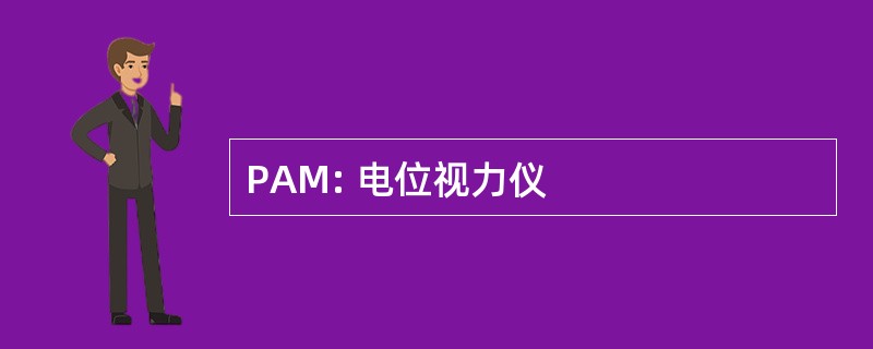 PAM: 电位视力仪