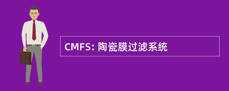 CMFS: 陶瓷膜过滤系统