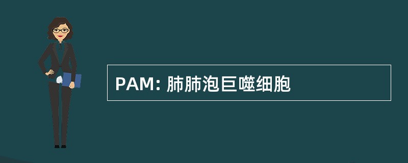 PAM: 肺肺泡巨噬细胞