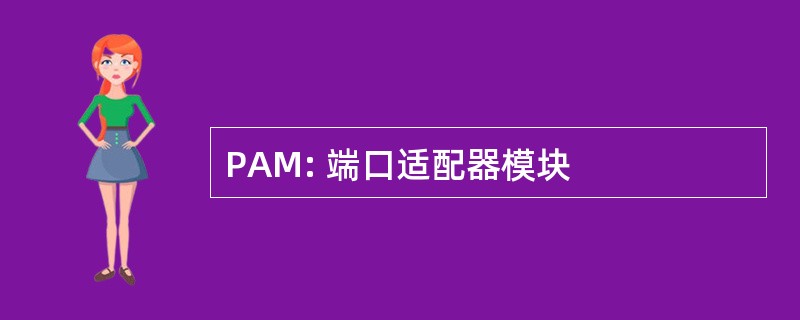 PAM: 端口适配器模块