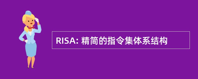 RISA: 精简的指令集体系结构