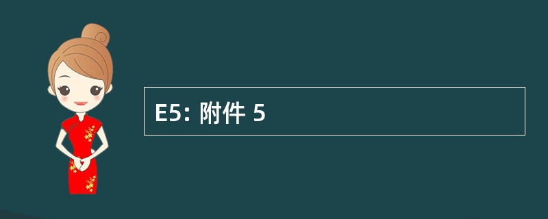 E5: 附件 5