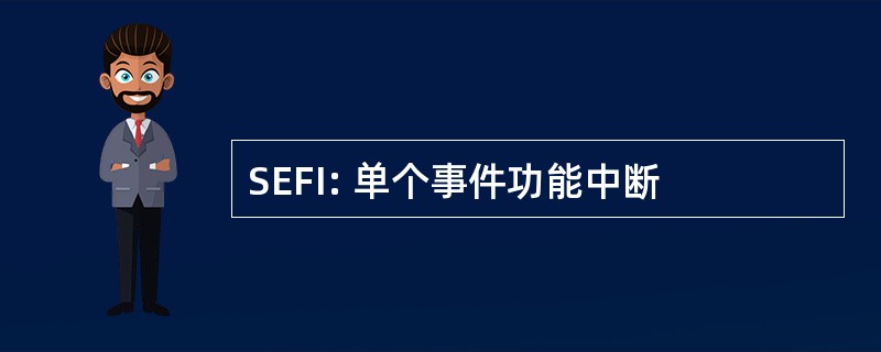 SEFI: 单个事件功能中断