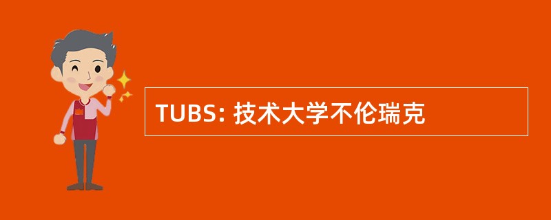 TUBS: 技术大学不伦瑞克