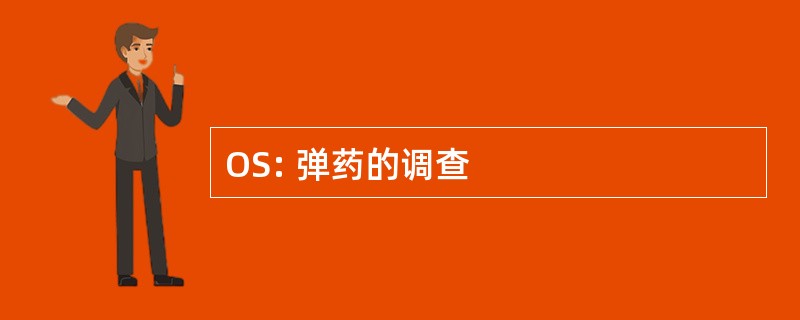 OS: 弹药的调查