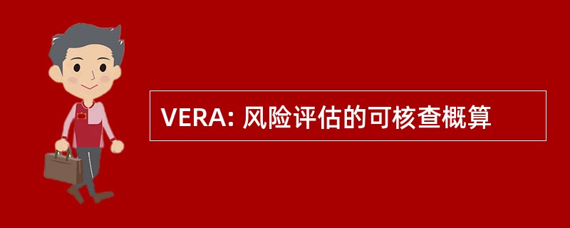 VERA: 风险评估的可核查概算