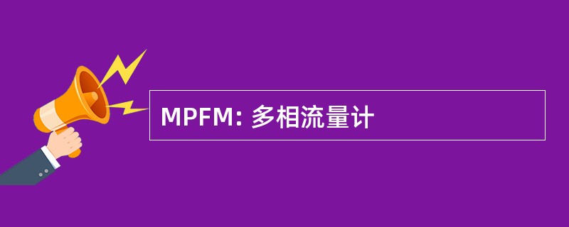 MPFM: 多相流量计