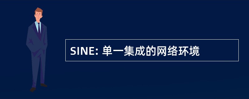 SINE: 单一集成的网络环境