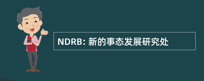 NDRB: 新的事态发展研究处