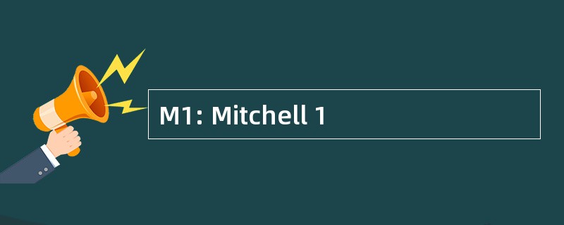 M1: Mitchell 1