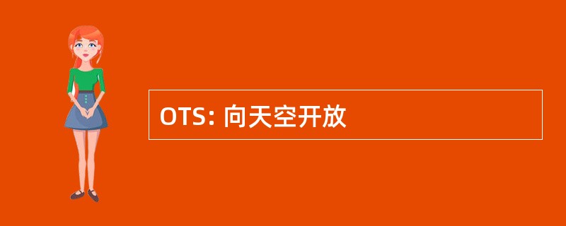 OTS: 向天空开放