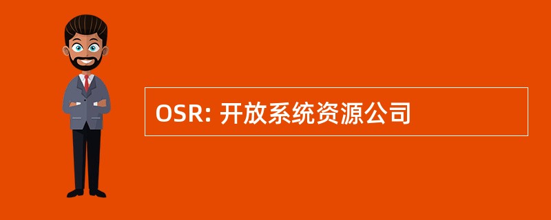 OSR: 开放系统资源公司