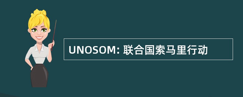 UNOSOM: 联合国索马里行动