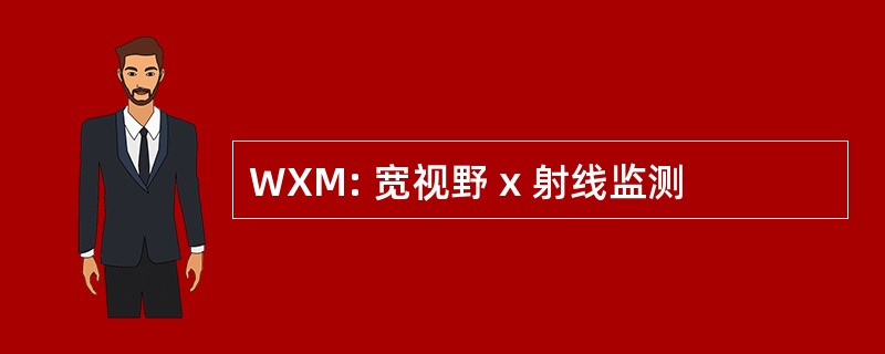 WXM: 宽视野 x 射线监测