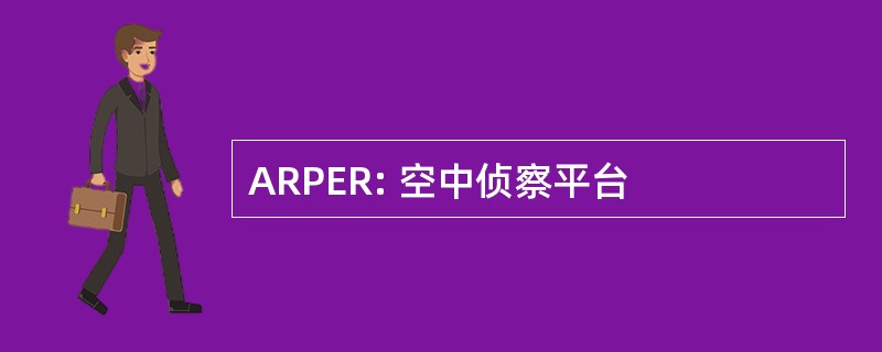 ARPER: 空中侦察平台