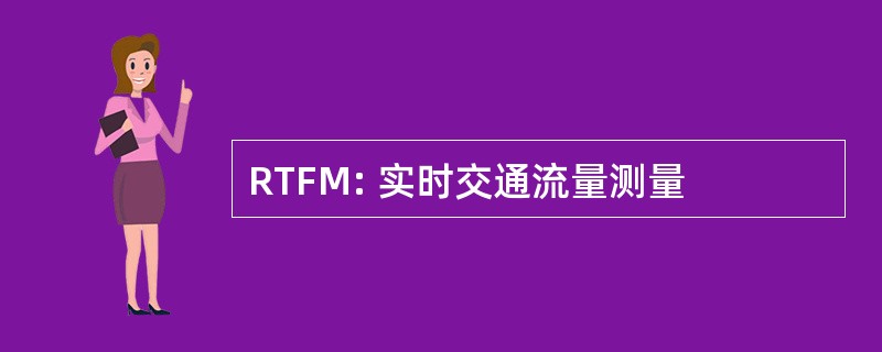 RTFM: 实时交通流量测量