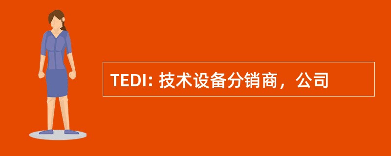 TEDI: 技术设备分销商，公司