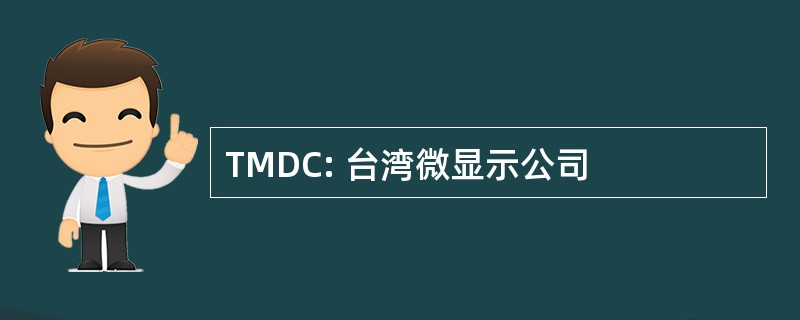 TMDC: 台湾微显示公司