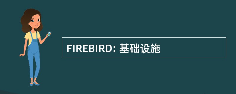 FIREBIRD: 基础设施