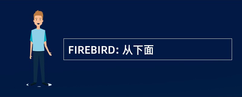 FIREBIRD: 从下面