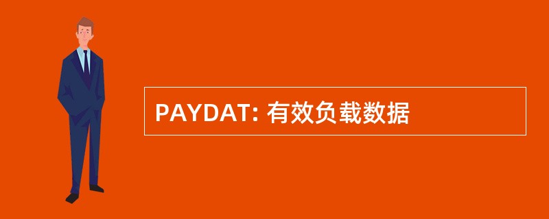 PAYDAT: 有效负载数据