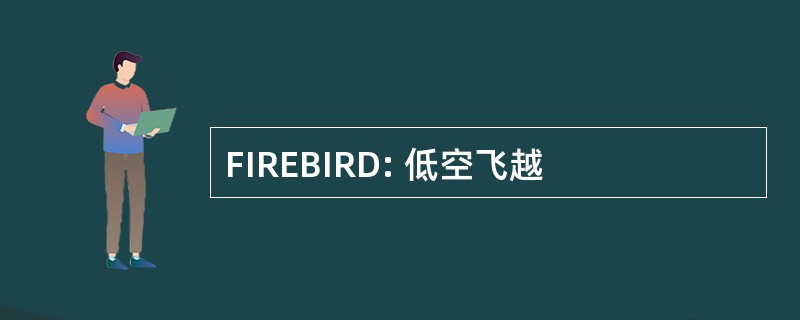 FIREBIRD: 低空飞越