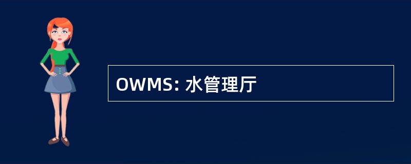 OWMS: 水管理厅