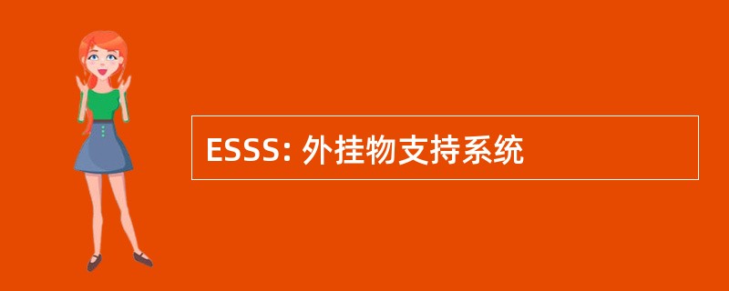 ESSS: 外挂物支持系统