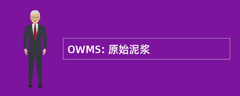 OWMS: 原始泥浆