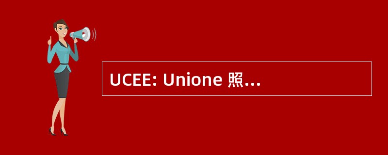 UCEE: Unione 照相机 Esperti Europei