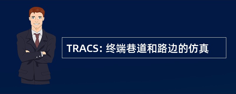 TRACS: 终端巷道和路边的仿真