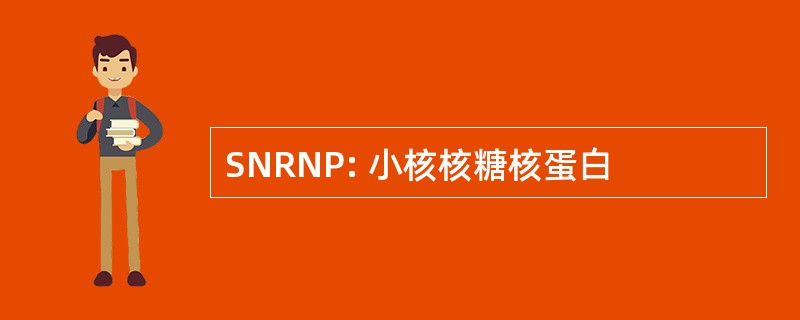 SNRNP: 小核核糖核蛋白