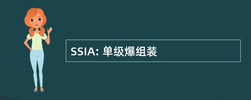 SSIA: 单级爆组装