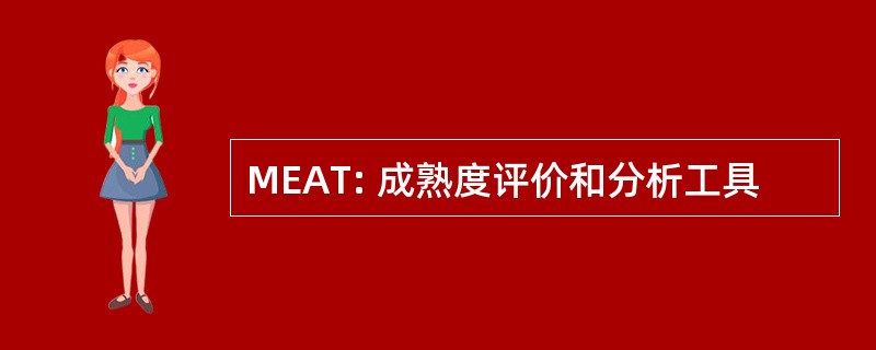 MEAT: 成熟度评价和分析工具