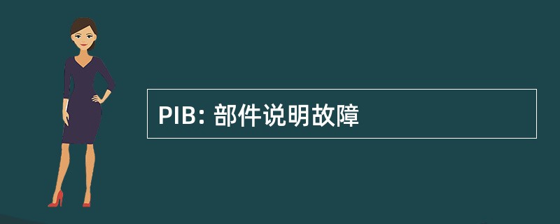 PIB: 部件说明故障